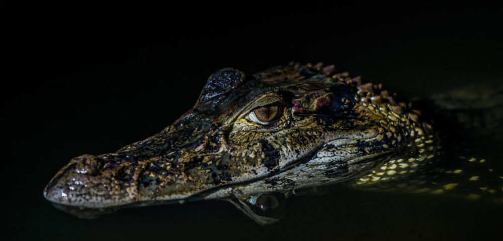 tour in amazzonia perù